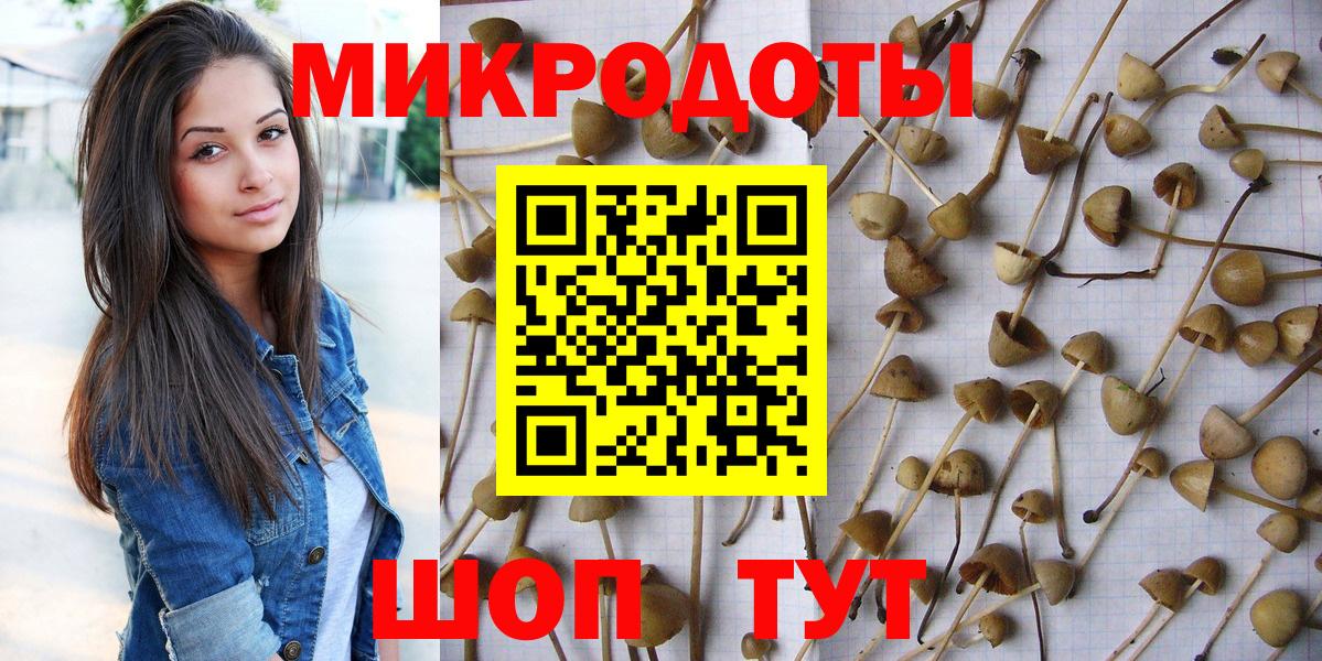 Псилоцибиновые грибы MAGIC MUSHROOMS  Вход с VPN  Бийск 